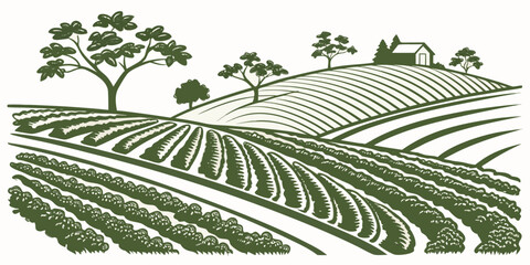 Engraved style illustration of rural farmland with rows of crops and a small farm house farmland landscape agriculture illustration cultivated environment engraving background vegetation © Lisa