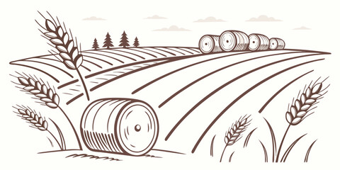 Agricultural wheat field illustration with hay bales and wheat ears agriculture landscape countryside illustration agronomy cultivation production farmhouse monochrome environment © Lisa