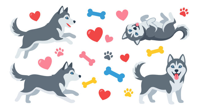 Vibrant flat vector illustration of happy huskies and playful hearts and paw prints