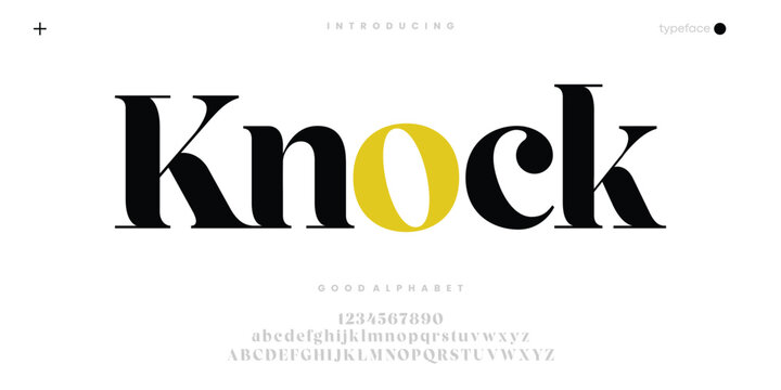 Elegant Serif Font for Luxury Editorial and Modern Branding Design