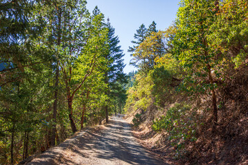 Fototapeta premium Biking Up A Fire Road In Autumn