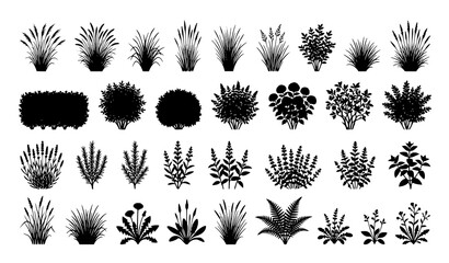 Bush grass shrub and herb silhouette vector set isolated on white background © MdRabbi