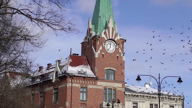 Historic building with tower and clock in cityscape with birds.