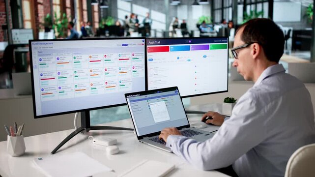 Auditor Using Automated Software System