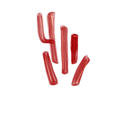 Coral reef red © Rachel