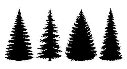 Fototapeta premium Black Pine Tree Silhouettes, Forest Icons, Evergreen Trees, Nature Symbols, Vector Graphics