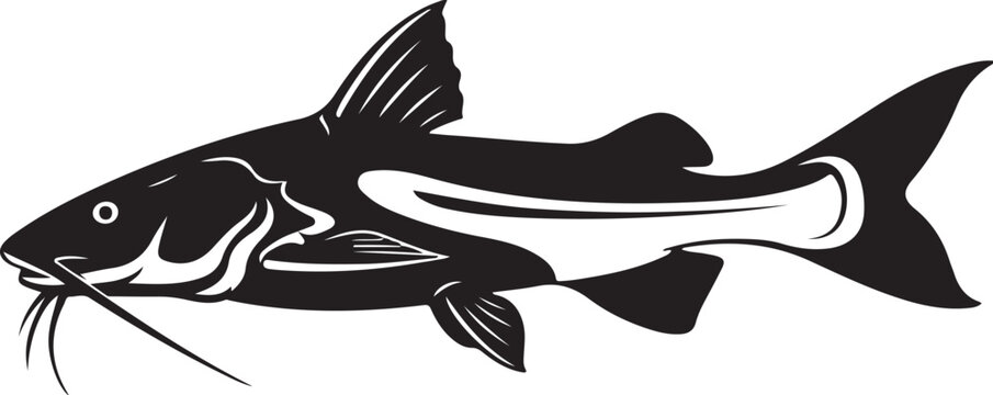 Black and white catfish with whisker like barbels aquatic