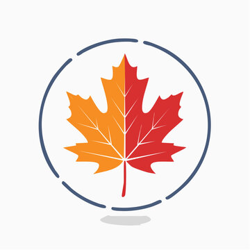 Maple Leaf Icon