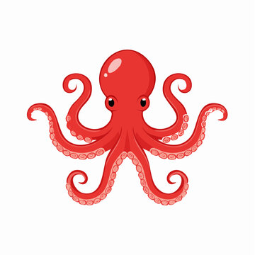 Red Octopus Cartoon