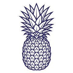 Obraz premium Detailed hand drawn pineapple fruit outline sketch illustration with black and white stand alone pineapple tropical illustration botanical vegetarian nutrient