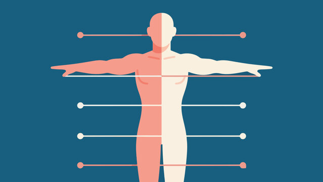 Illustration Of Human Body Alignment Vector Design Template