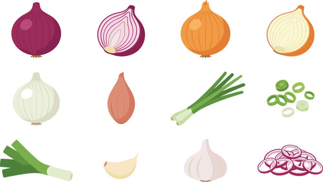 Flat Allium Vegetable Vector Icon Set Featuring Red Yellow White Onions Garlic Shallot Leek Green Scallions Whole Slices and Rings for Food Infographics