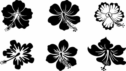Fototapeta premium Black and white hibiscus flowers set on transparent background