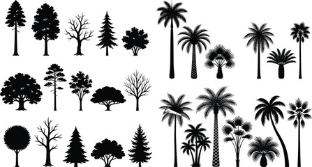 Black and white line collection of various trees and palm silhouettes isolated on white background d © MDMOHIN