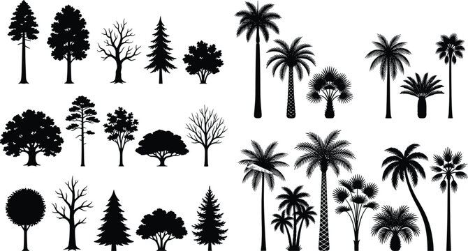 Black and white line collection of various trees and palm silhouettes isolated on white background d