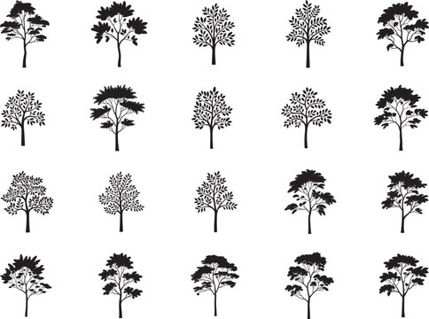 Cypress Tree Svg Bundle