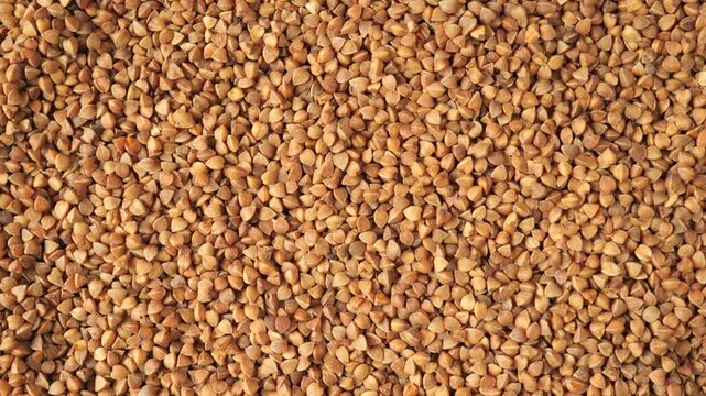 Raw buckwheat groats slowly moving background
