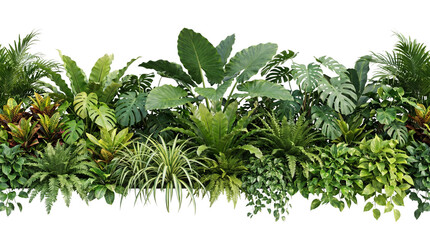 Tropical leaves and plants arrangement on transparent background © Photo Find