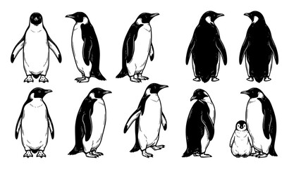 Penguin Character Illustration Collection with Standing, Walking and Cute Baby Penguin Black and White Set © Crafts Home