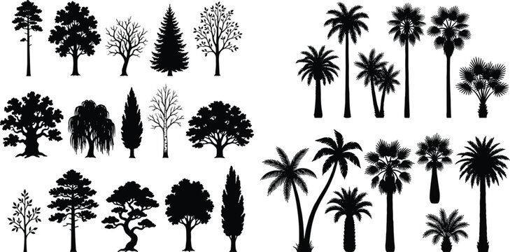 Black silhouettes of various trees and palm trees against white background pine tree oak tree