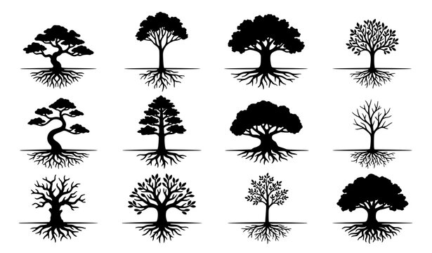 Nature Tree Silhouette and Root Vector Icon Set