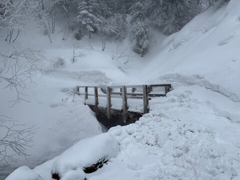 bridge in the snow