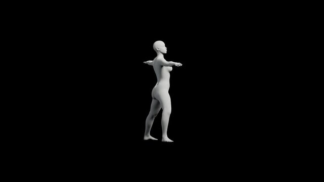 3D rendered figure model in T-pose against black background