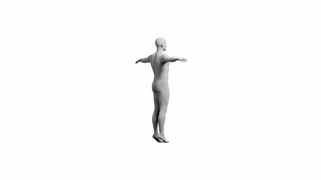 3D rendered male figure model in T-pose