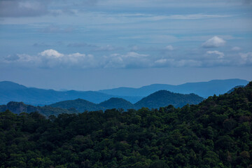 Fototapeta premium Khao Yai National Park 