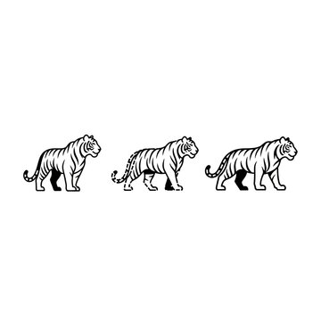 Three Tigers Walking in Sequential Illustration Style.