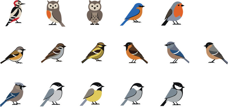 Flat bird icon set featuring colorful small songbirds and woodland species for wildlife apps education and nature design