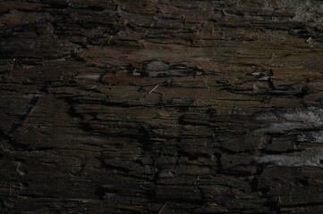 Fototapeta premium old wood texture
