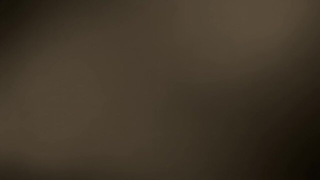 Soft Patch of Darkness That Moves as if a Deeper Shadow Passes &ndash; Cinematic Minimal 16:9 Abstract Visual Design