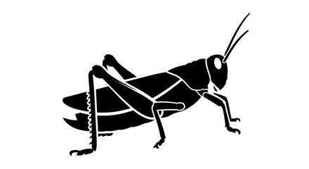 Black silhouette of a grasshopper on a white background, isolated insect illustration © agus