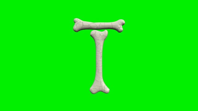  3d cracked bone alphabet letters animation on green screen background