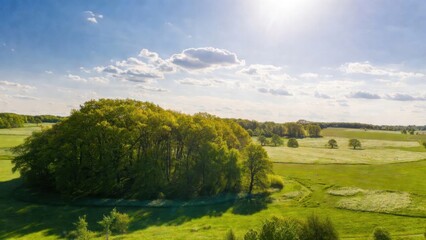 Naklejka premium Wooded grove casting shadow across expansive green meadow