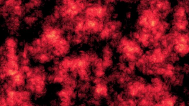 Premium Alien Cell Loop Red Organic Texture Motion Background 4K