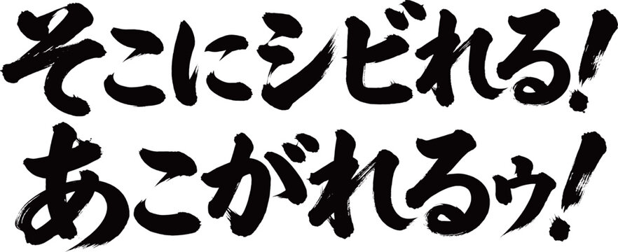筆文字　そこにシビれるあこがれる