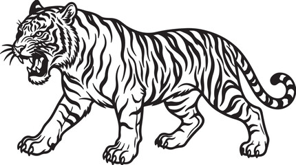 Fototapeta premium Walking Tiger
