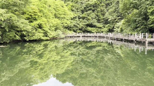 新緑のリフレクションと壊れた橋
