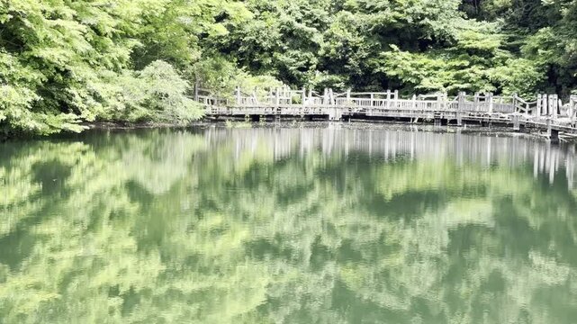 新緑のリフレクションと壊れた橋