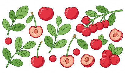 Cartoon cherry vector illustration with fresh red berry fruits isolated on white background © MstLima