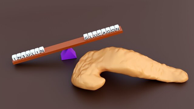 A 3D rendering of see-saw balancing metabolic hormones and human pancreas model. Letter tiles spelling "INSULIN" weigh down, while "GLUCAGON" rises.