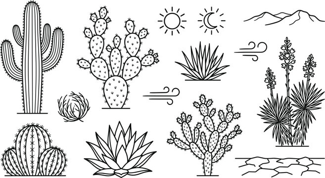 Minimalist desert cactus line art set featuring saguaro agave prickly pear yucca mountains sun and black succulent vector icons