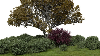 Obraz premium Tall tree stands with brown leaves beside smaller bushes in green grass. Bright light shows the details of the plants in this outdoor scene during the day. 3d render