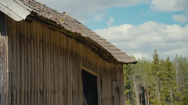 A weathered wooden barn stands beside a forest under soft daylight, with textured timber walls, an aged tiled roof, and drifting clouds creating a quiet rural scene.