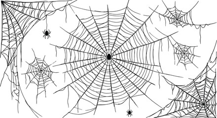 Set of detailed hand drawn spider webs and spiders isolated on white background for spooky halloween holiday decoration © Ratna