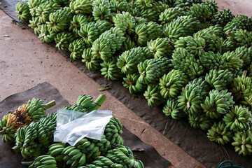 Abundant harvest of green unripe banana fruit. Many fresh natural bunches from agriculture production, display of healthy organic food ready for market © CoreRock