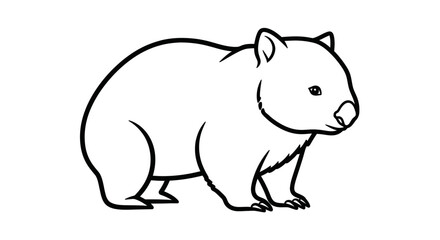 Fototapeta premium Wombat outline drawing, cute marsupial animal illustration, simple line art vector