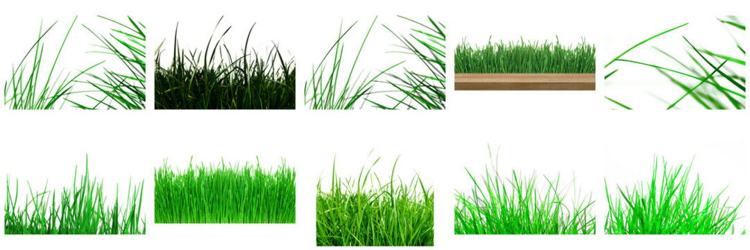 Transparent grass patches, lawn strips, green blades, turf borders and isolated grass elements set and collection for PNG overlay background design.